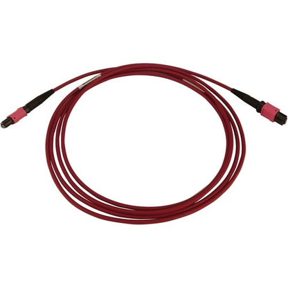 Tripp Lite by Eaton N845B-03M-12-MG Fiber Optic Network Cable - 9.8 ft (3 m) Fib