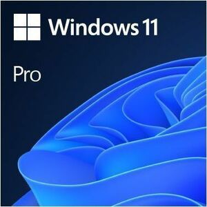 Microsoft Windows 11 Pro 64-bit - Box Pack - 1 License - 1 - Flash Drive - Engli