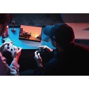 GZ301ZE-DS91-CA INTEL CORE I9 TBD 46GB 13.4IN W11H