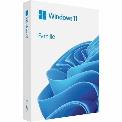 Microsoft Windows 11 Home 64-bit - Box Pack - 1 License - Flash Drive - French -