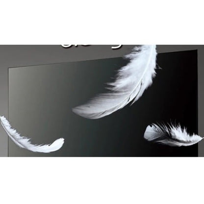 Écran d'affichage numérique LG 55EJ5K-B - OLED 55" (1397 mm)