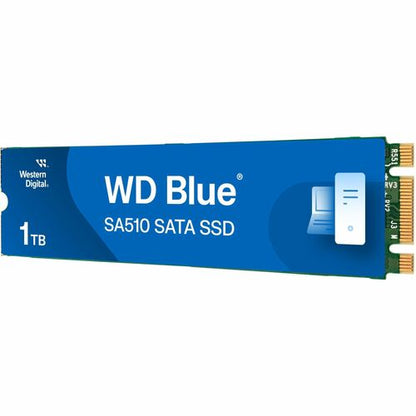 1000GB BLUE SATA  M.2 .