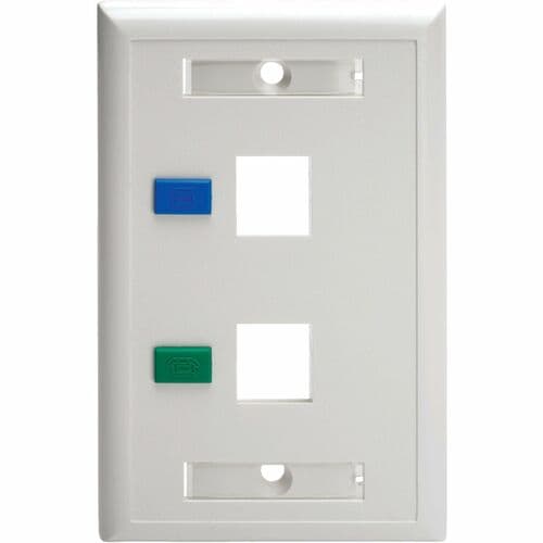 Tripp Lite - Placa frontal Keystone de 2 puertos, una sola salida, etiquetas de identificación, blanco, TAA - 2 x T