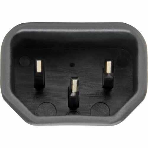 Adaptateur d'alimentation Tripp Lite NEMA 5-15R vers C14 - 15 A