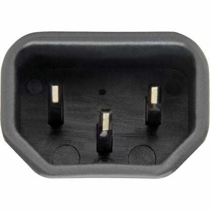Adaptateur d'alimentation Tripp Lite NEMA 5-15R vers C14 - 15 A
