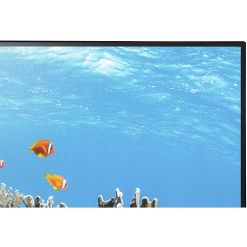 EA242WU-BK 24 LED IPS 1920X1200 HDMI/DISPLAYPORT IN /OUT/USB-C