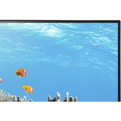 EA242WU-BK 24 LED IPS 1920X1200 HDMI/DISPLAYPORT IN /OUT/USB-C