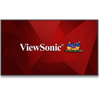 Écran de présentation sans fil ViewSonic CDE7530 - LCD 75"