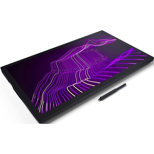 CINTIQ PRO 24 TOUCH INTERACTIVE PEN DISP BLACK