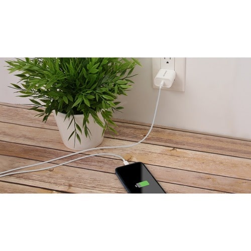 Cargador compacto USB-C de 20 W IOGEAR GearPower (paquete de 2)
