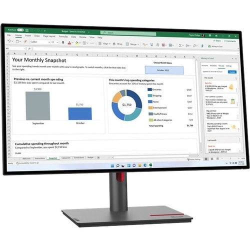 Lenovo ThinkVision P27h-30 27\" Class WQHD LCD Monitor - 16:9
