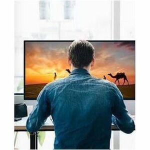Écran d'affichage numérique LG 32LN340CBUD - 32" - 1366 x 768