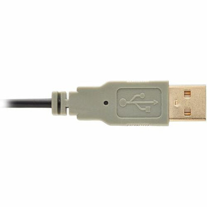Câble d'extension audio/vidéo HDMI Tripp Lite par Eaton P569-020-MF-ACT - 6,10 m (20 pi)