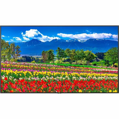 Sharp NEC Display 75\" Ultra High Definition Professional Display - 75\" LCD - In
