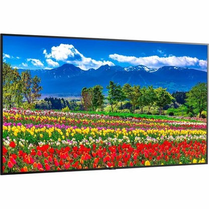 Sharp NEC Display 75\" Ultra High Definition Professional Display - 75\" LCD - In