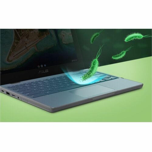 11,6 pouces PROC 1,1 Go 8 Go 64 Go CHROME OS