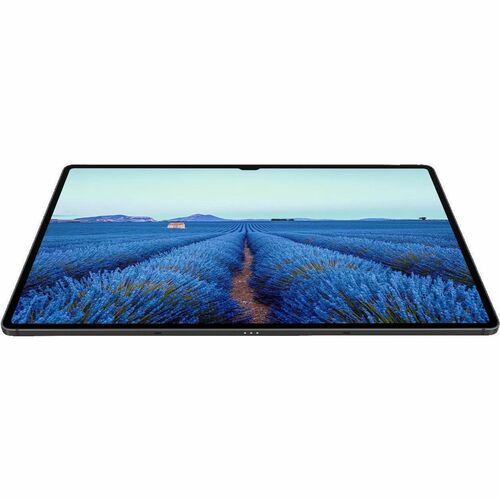B2B GALAXY TAB S9 ULTRA 16GB MULTI 1 1TB GRAPHITE WIFI