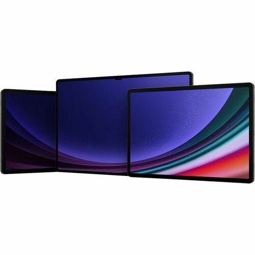 B2B GALAXY TAB S9 ULTRA 16GB MULTI 1 1TB GRAPHITE WIFI