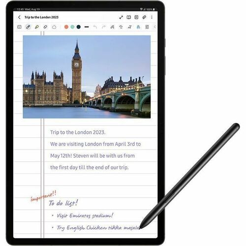 B2B GALAXY TAB S9 ULTRA 16GB MULTI 1 1TB GRAPHITE WIFI