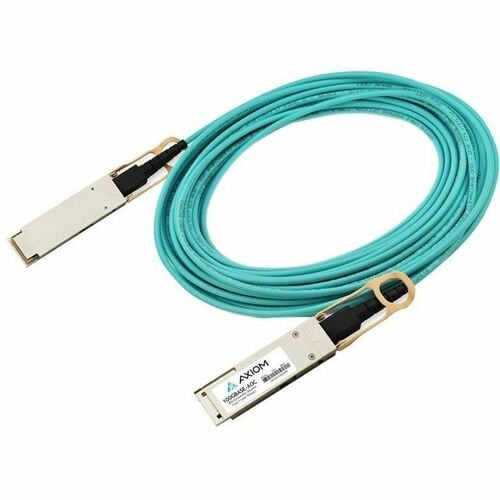 Axiom Memory Axiom 100GBASE