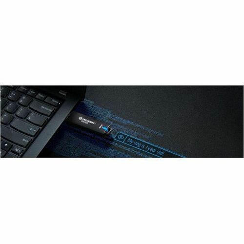 128GB IRONKEY D500S FIPS 140-3 LVL 3  AES-256