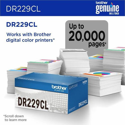 Brother DR229CL Drum Unit - Laser Print Technology - 20000 P