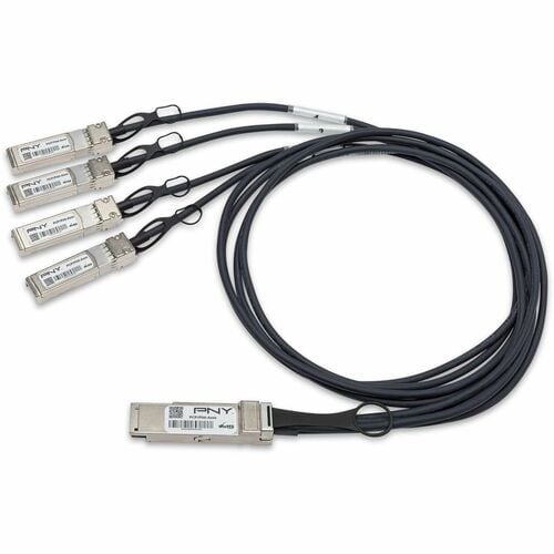 PNY 100GBASE