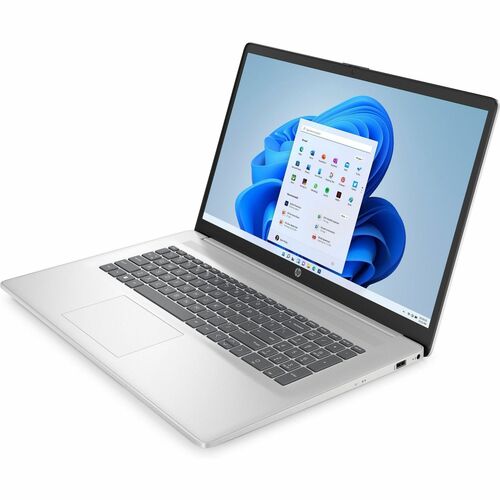 Ordinateur portable HP 43,9 cm - Full HD - 1920 x 1080 - (Intel Core 3 100U Hexa