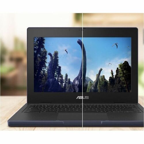 CR1104CGA-C1-CA INTEL N100 4GB 11.6IN CHROME OS