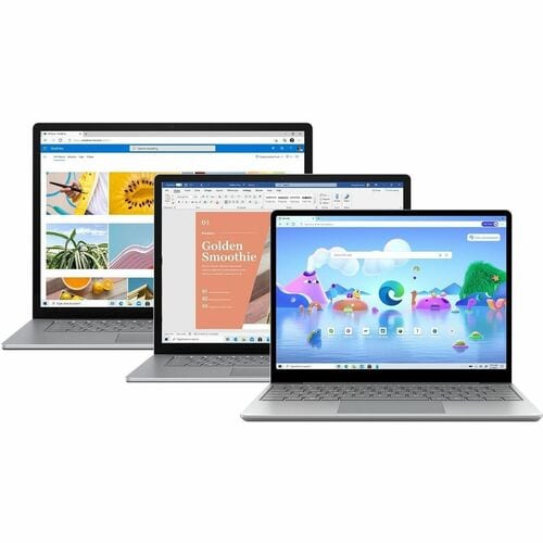 FR DEMO SURFACE LAPTOP4 13 I5/8/512 SC PLATINUM  MULTI 3