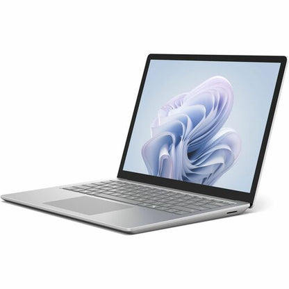 LAPTOP6 13IN I7/64/1TB FR PLATINUM