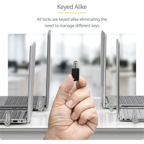 StarTech.com Candado universal para portátil (paquete de 25), 2 m, con llave igual, cable de seguridad