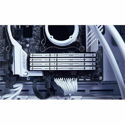 Kit de 2 mémoires DDR5 CL30 32 Go 6 000 MT/S DIMM FURY BEAST BLANC EXPO