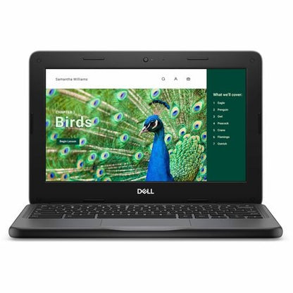 CHRMBK 3120 4GB (1DIMM) 64GB EMMC NT 1366X768 WLS 3C 42WH