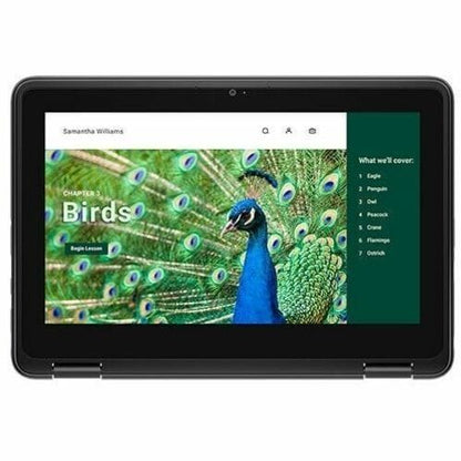 CHRMBK 3120 4GB (1DIMM) 64GB EMMC NT 1366X768 WLS 3C 42WH