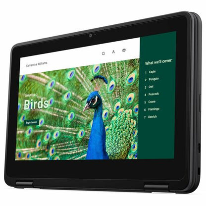 Dell Chromebook 3000 3120 2 en 1 convertible con pantalla táctil de 11,6" - HD