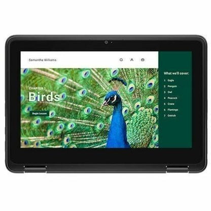 CHRMBK 3120 2IN1 4GB (1DIMM) 64GB EMMC T 1366X768 WLS 3C 42WH