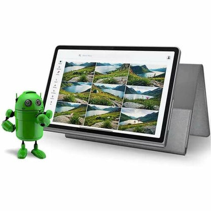 Lenovo Tab Plus TB351FU Tablet  (ZADX0168CA)