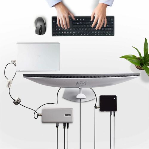 Kit de bloqueo para portátiles/computadoras de escritorio y periféricos StarTech.com, cable de acero de 3 m (9,8 pies), antirrobo