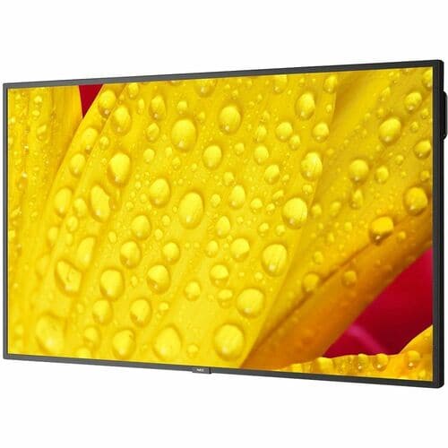 Sharp NEC Display 65\" Ultra High Definition Professional Display - 65\" (1651 mm) LCD
