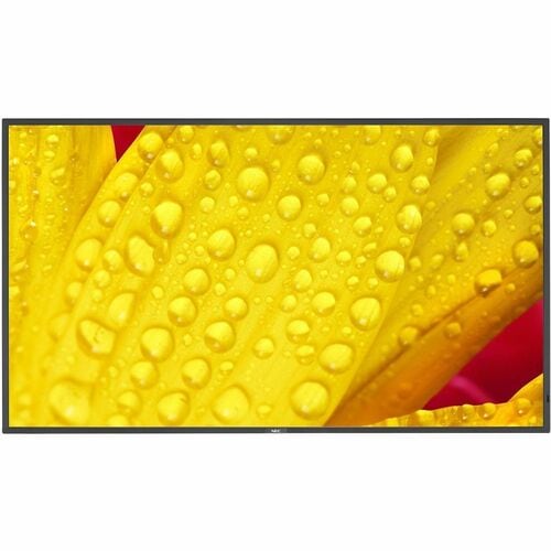 Sharp NEC Display 65\" Ultra High Definition Professional Display - 65\" (1651 mm) LCD