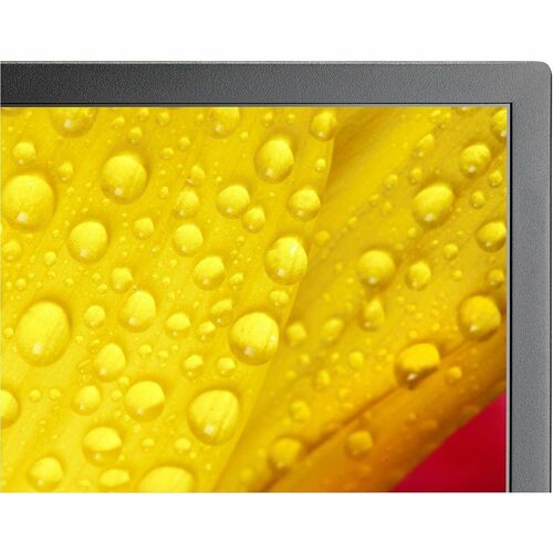 Sharp NEC Display 65\" Ultra High Definition Professional Display - 65\" (1651 mm) LCD