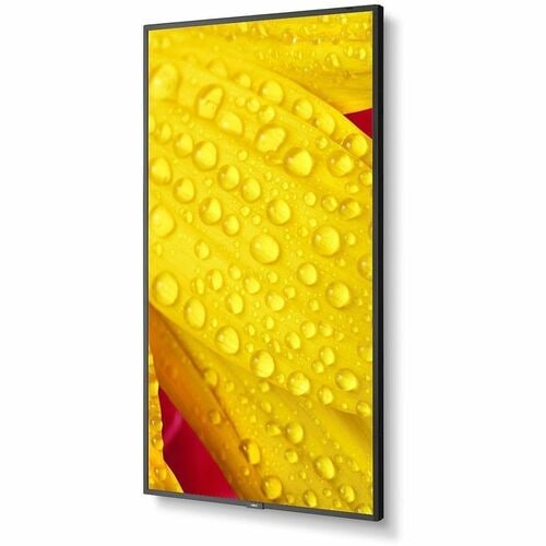 Sharp NEC Display 65\" Ultra High Definition Professional Display - 65\" (1651 mm) LCD