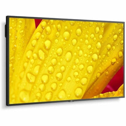 Sharp NEC Display 65\" Ultra High Definition Professional Display - 65\" (1651 mm) LCD