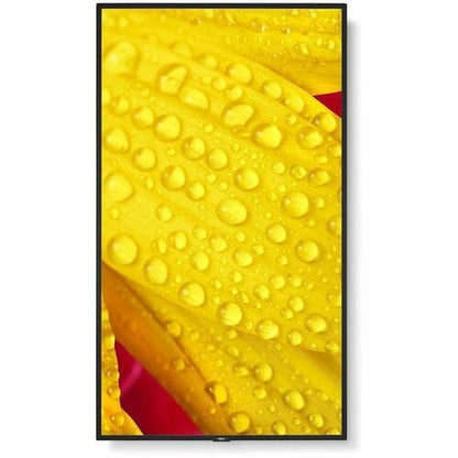 Sharp NEC Display 65\" Ultra High Definition Professional Display - 65\" (1651 mm) LCD