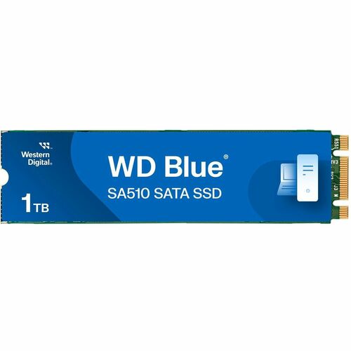 1000GB BLUE SATA  M.2 .