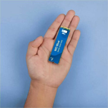 1000GB BLUE SATA  M.2 .