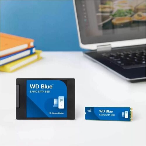 1000GB BLUE SATA  M.2 .