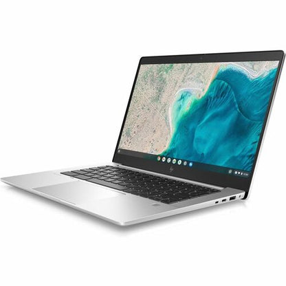 HP Elite c640 G3 Chromebook Enterprise 14 pouces - Full HD