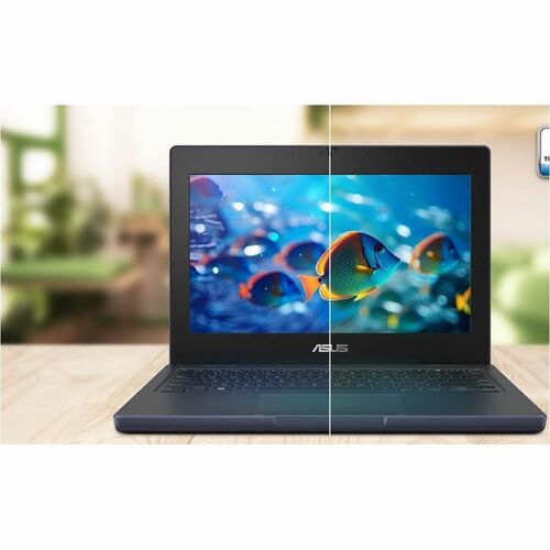 Netbook robuste à écran tactile Asus BR1104C BR1104CGA-YS24T de 11,6 pouces (294,64 mm) - HD